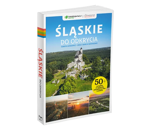 Pakiet BASIC: książka drukowana